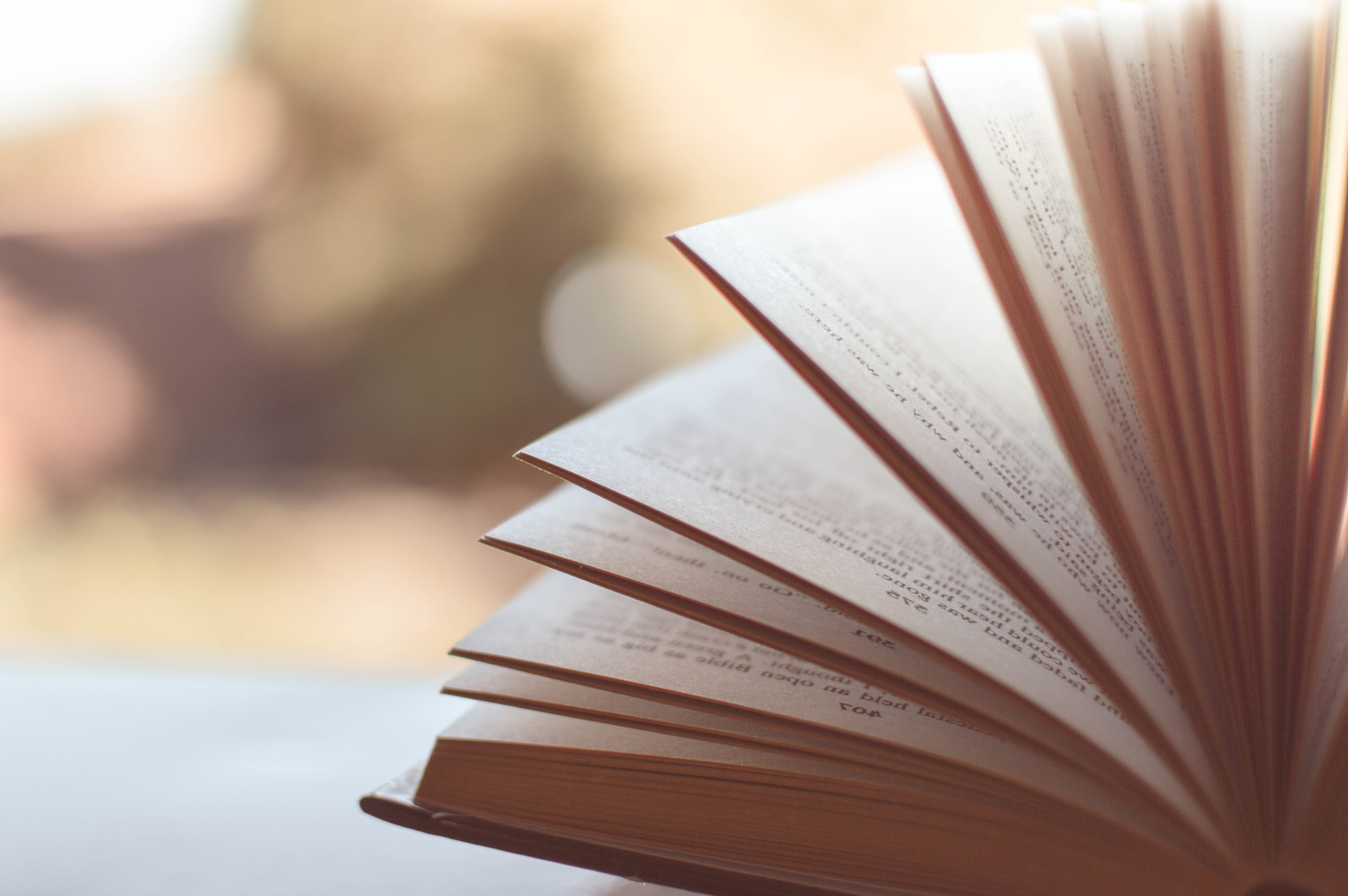 a semi blurry image of an open book a semi blurry image of an open book